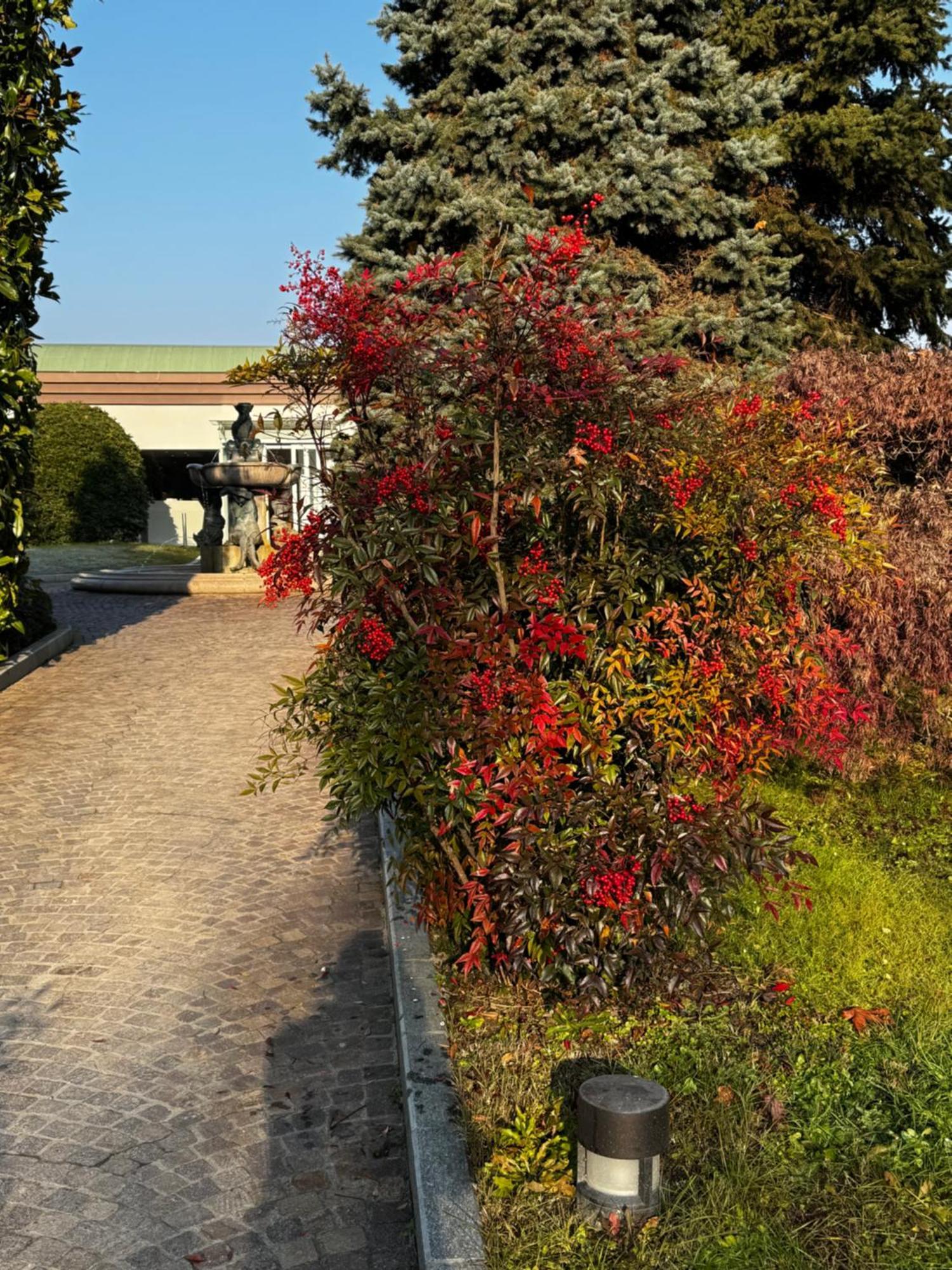Parco Hotel Sassi Turin Exterior photo