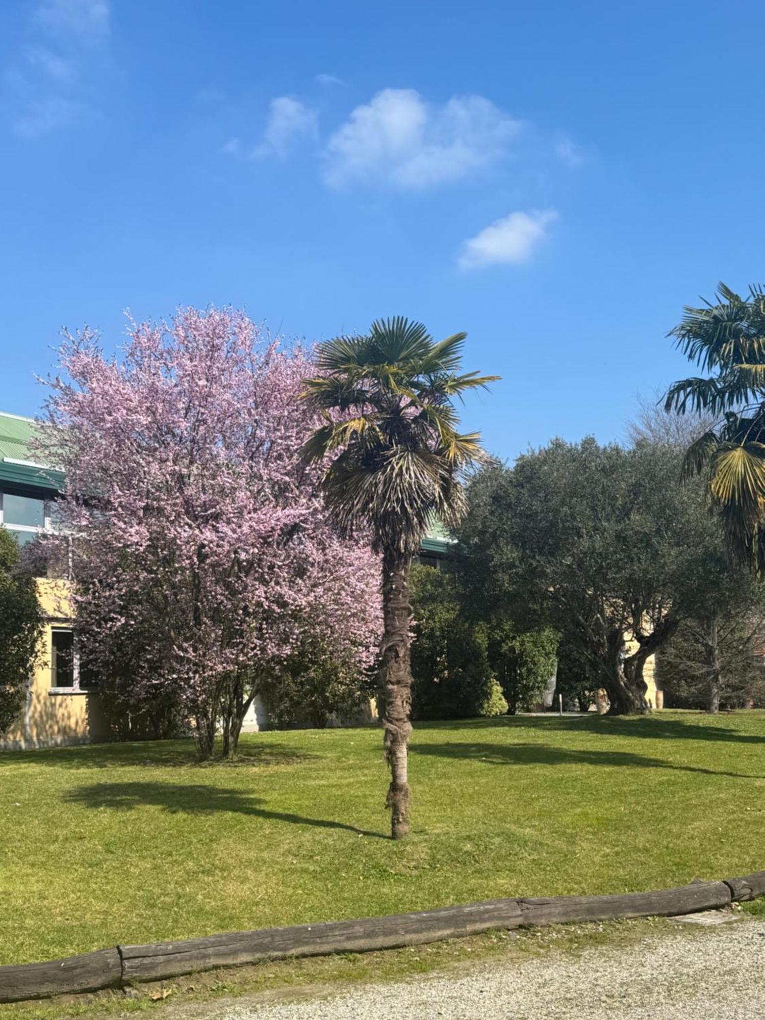 Parco Hotel Sassi Turin Exterior photo